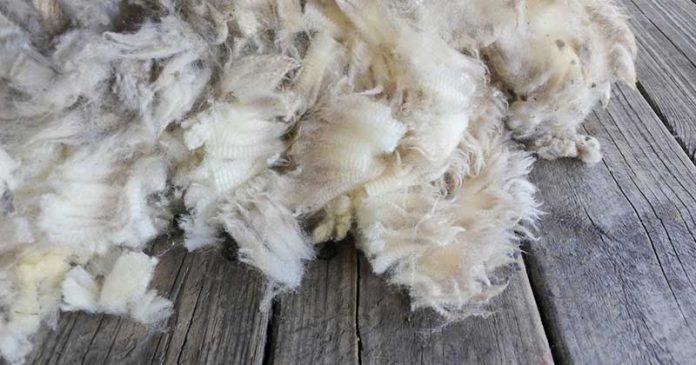 Ovčija vuna izolacioni materijal